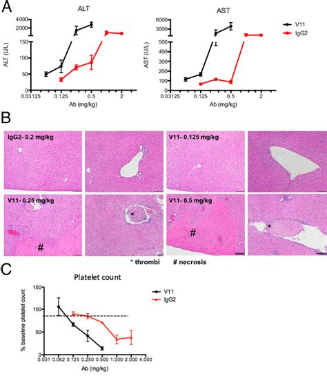 Figure 1 From Toxicity Of An Fc Engineered Anti CD40 Antibody Is