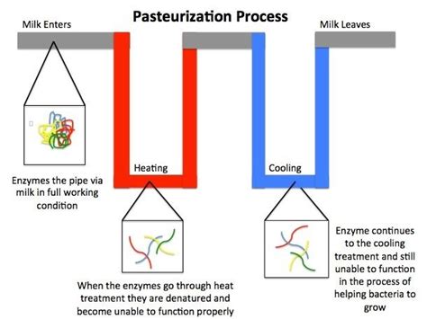 What Drinks Must Be Pasteurized