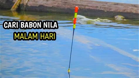 Mancing Ikan Nila Malam Hari Mancing Karangkates Youtube