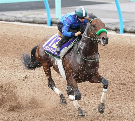 【宝塚記念1週前追い】ブラスト 豪快デモ3馬身先着大竹師も納得「長めからしっかり追ってもらった」― スポニチ Sponichi Annex