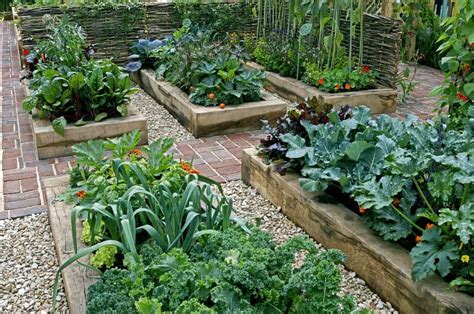 Grand Guide Du Potager Pour Les D Butants Tout Pour Bien Commencer