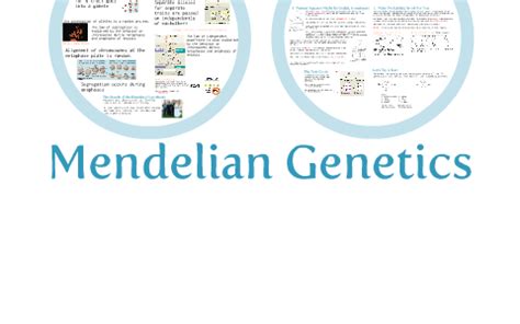 AP Bio Information 9 Intro To Mendelian Genetics By David Knuffke On