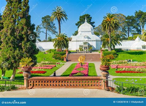 San Francisco Botanical Garden Stock Photo - Image of grove, america ...