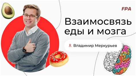 Взаимосвязь еды и мозга | Владимир Меркурьев - YouTube