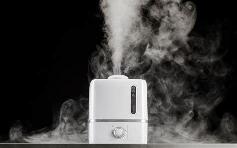 9 Best Steam Humidifiers Reviews Guide