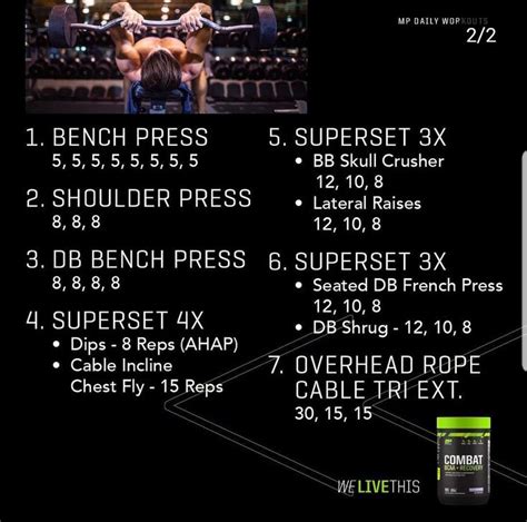 Muscle Building Workouts and Gym Workout Chart