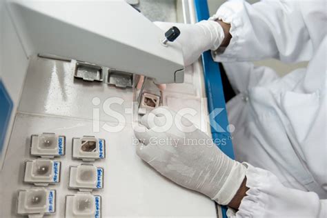 Histology Procedure: Embedding stock photos - FreeImages.com