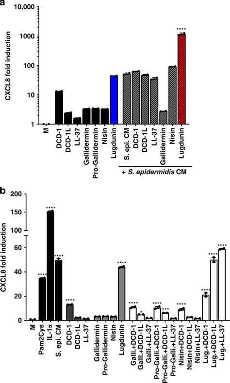 Lugdunin Amplifies The Commensal Induced Chemokine C X C Motif Ligand