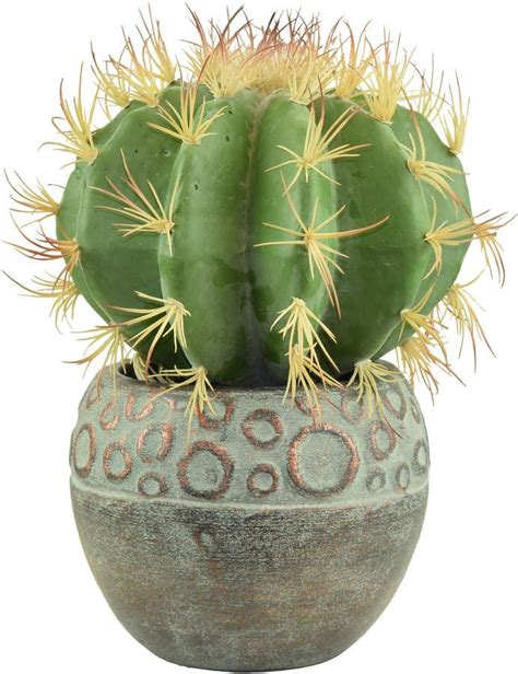 Pier Imports Faux Barrel Cactus Arrangement With Ceramic Pot Cactus