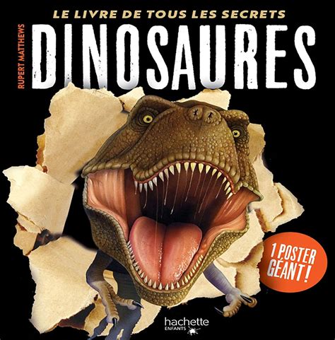 Découvrir notre sélection de livres jeunesse sur les dinosaures