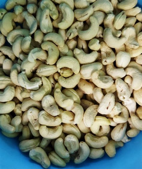 Steamed Ivory W320 Whole Cashew Nuts At Rs 610 Kg In Berhampur ID