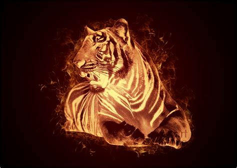 Fire Tiger by Meathix on DeviantArt