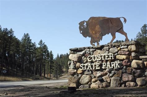 Camping at Custer State Park: An Essential Guide (to Make the Most of ...