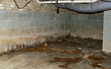 Excess Moisture In A Crawl Space Atlantic Foundation And Crawl Space Repair Crawl Space