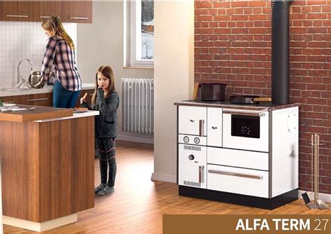 ᐉ Wood cooker stove with back boiler Alfa Plam Alfa Term 27 27 56kW