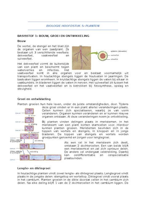 Biologie Hoofdstuk Biologie Hoofdstuk Planten Basisstof Bouw