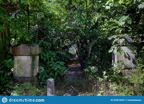 Abandoned Graveyard, Graves And Ruined Headstones Stock Photography ...