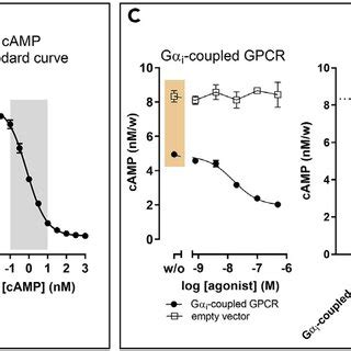 Example Data For Total And Surface Expression Of Gpcrs And