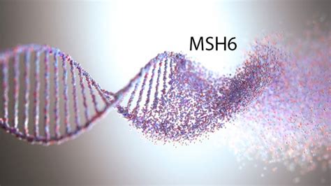 MSH6 mutasyonu nedir Hangi kanserlerin riskini artırır Prof Dr