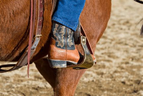 Types of Horseback Riding Boots - The Horse and Stable