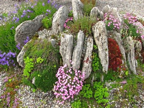 Alpine Setting For Rockery Plants Inspiration For The Garden Pin…