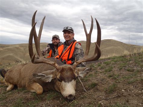 Montana Mule Deer Id Love To Spend A Week Out West Hunting These