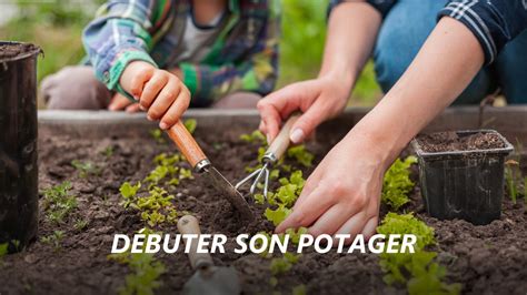 Débuter son potager maison Cultiver vos propres légumes