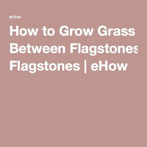 How To Grow Grass Between Flagstones Hunker