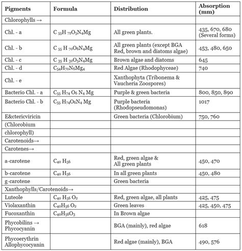 Chloroplast and Pigments NEET Notes | EduRev