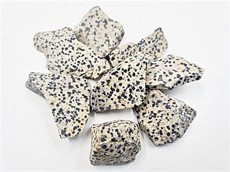 Dalmatian Jasper Rough Stones Hello Indigo Halo