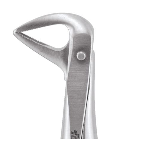 Buy Standard Extraction Forcep Lower Anterior And Roots FX74S