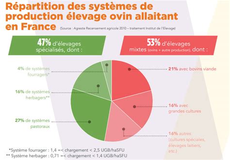 Le Cheptel Ovin Et La Production De Viande Ovine Economie M Tiers