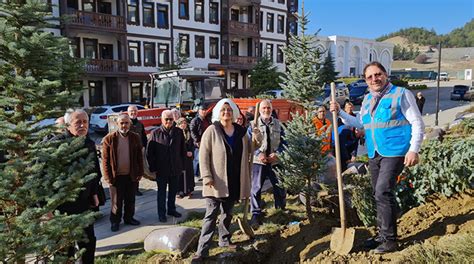 Sakaryan N Sakin Kenti Tarakl Termalde Herkesin Bir Dikili A Ac