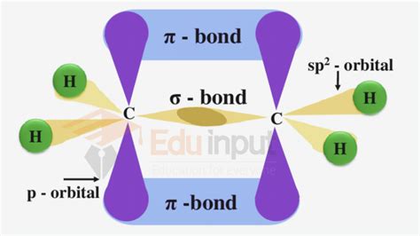 Sp2-hybridization, definition, explanation, examples and significance