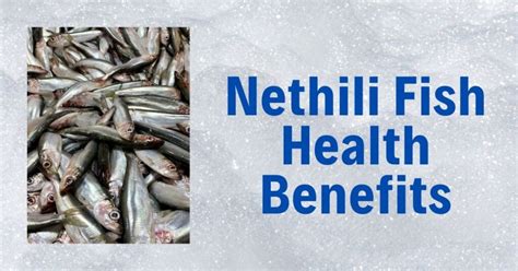 Nethili Fish in English | Nethili Health Benefits | Anchovy Fish – The ...