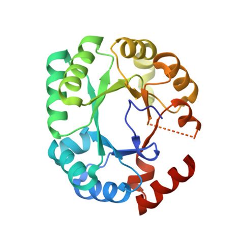 Rcsb Pdb G Crystal Structure Of Orotidine Monophosphate