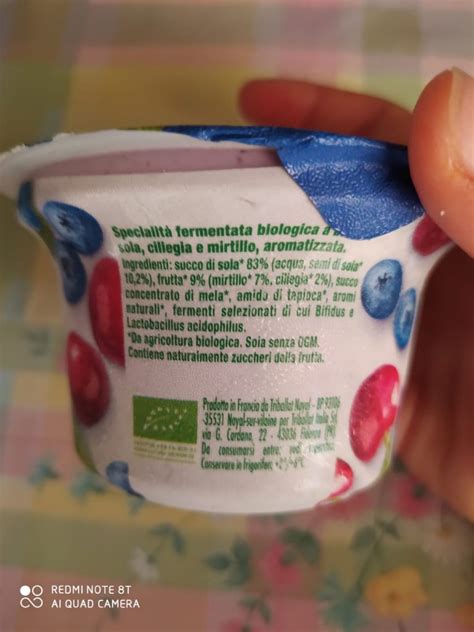 Yogurt Mirtillo Senza Zuccheri Aggiunti Sojasun