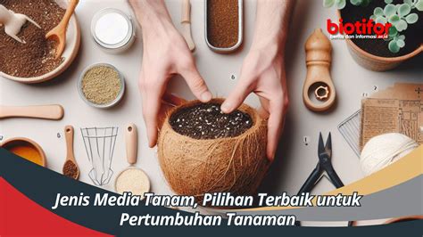 Jenis Media Tanam Pilihan Terbaik Untuk Pertumbuhan Tanaman Biotifor