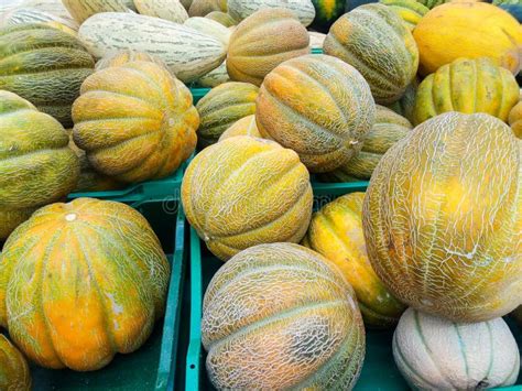 Melones Dulces Maduros Y Jugosos En El Mostrador Del Supermercado