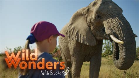 Wild Wonders With Brooke Title Sequence Youtube