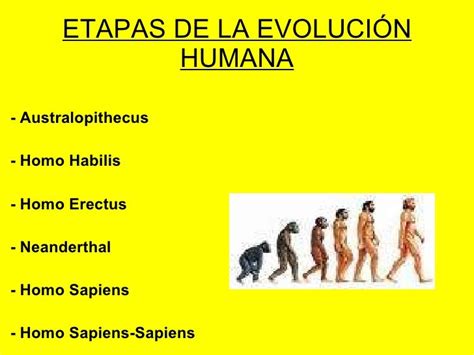 Evolucion Del Hombre 2