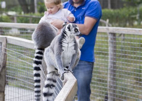 ZOO na Kaszubach 3 ogrody zoologiczne które warto odwiedzić