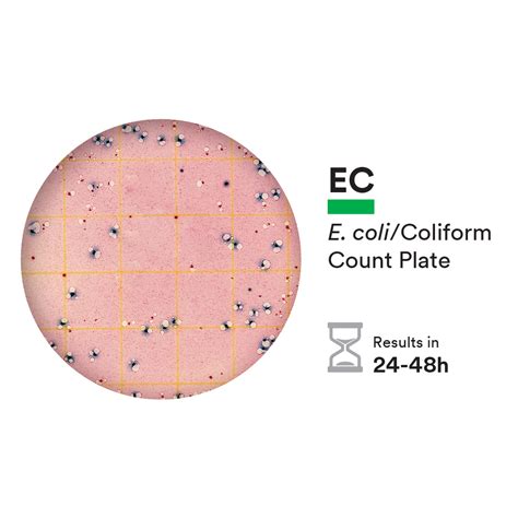 Coliforms E Coli Petrifilm E Coli Coliform