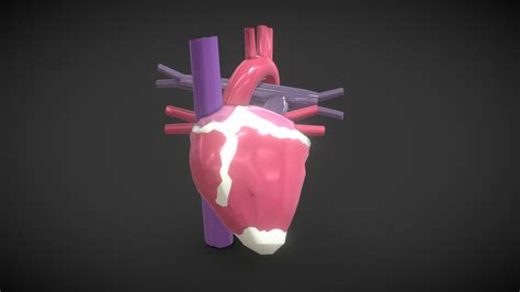 Human Heart Download Free 3d Model By 3d Edutex Yasama [f5fa1e7] Sketchfab