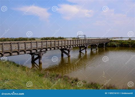 Landscape the Po Delta stock photo. Image of delta, laggon - 118921610