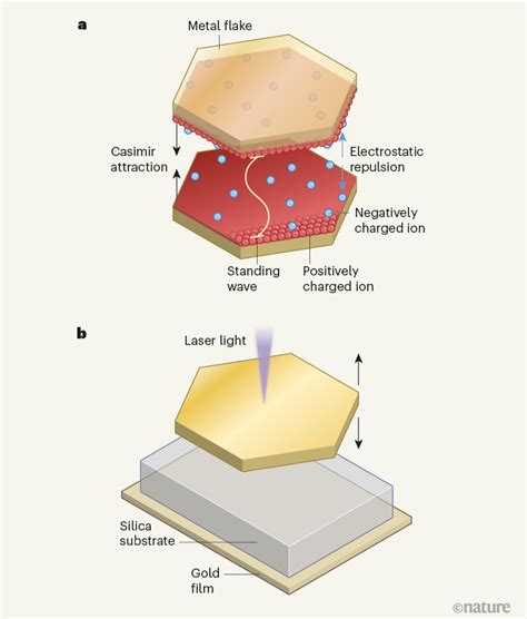 Hybrid Lightmatter States Formed In Self Assembling Cavities