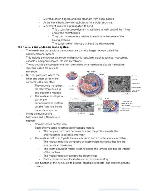 Mcb Chapter Notes Part Part Microtubules In Flagella And