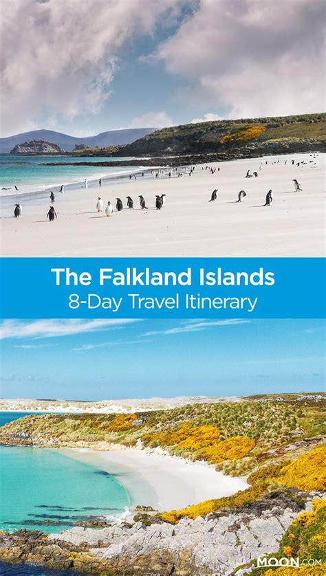 8 day falkland islands travel itinerary – Artofit