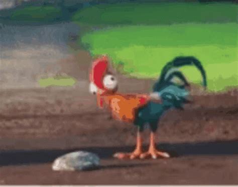 Moana Hei Hei GIF - Moana Hei Hei - Discover & Share GIFs