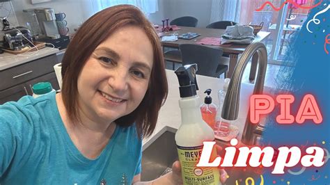 COMO LIMPAR E HIGIENIZAR A PIA DA COZINHA YouTube